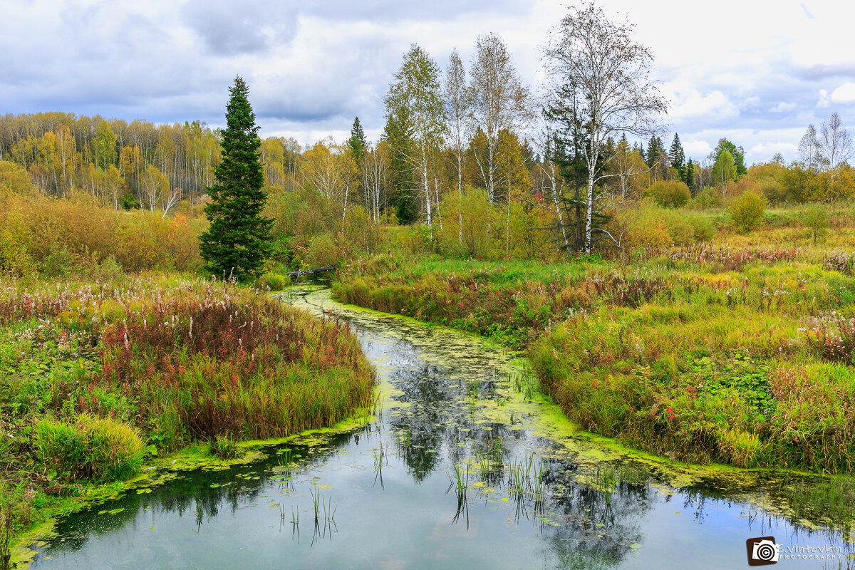 Бобриный Лог - Сергей Винтовкин