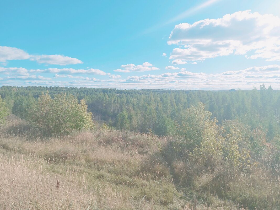 Море леса. - Игорь Солдаткин