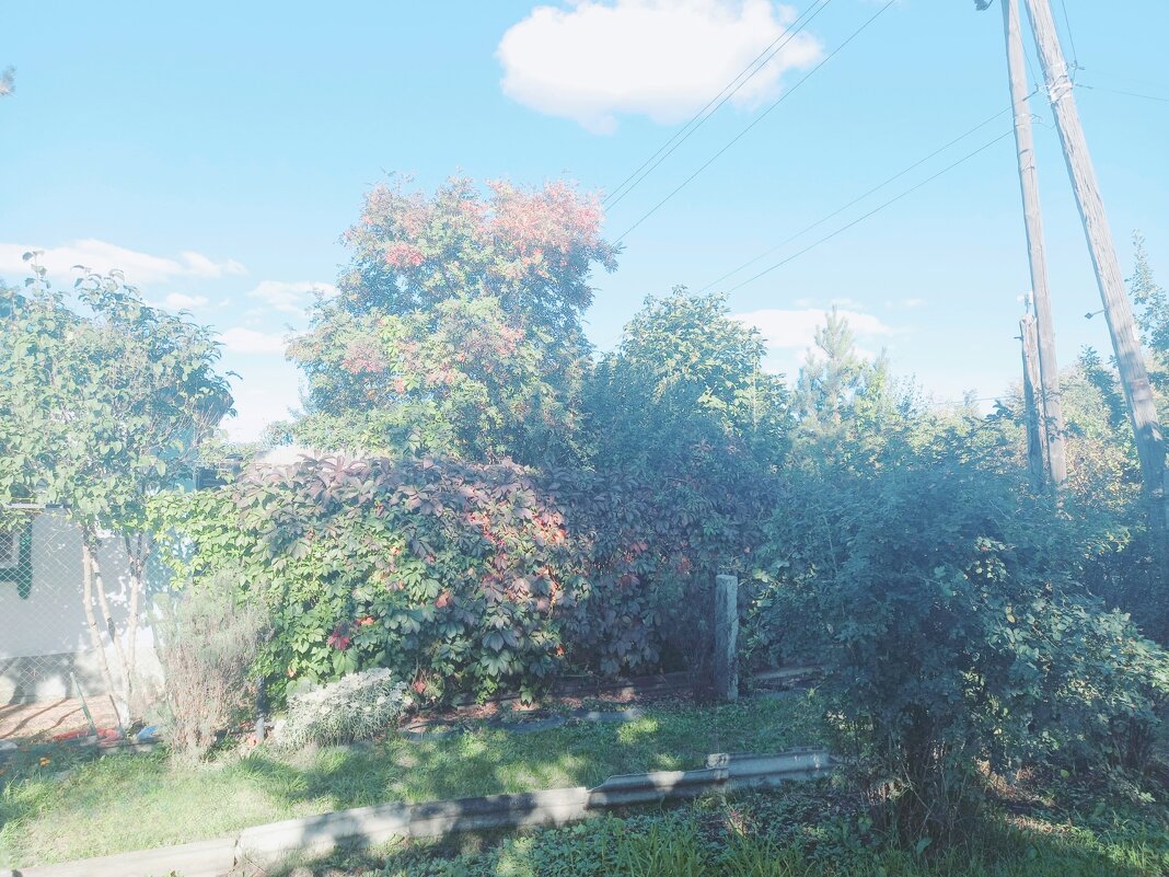 Эпоха лета закончилась. - Игорь Солдаткин