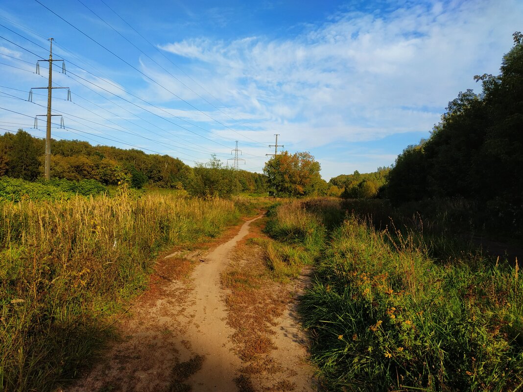 Бабье лето в Лосином острове - Андрей Лукьянов
