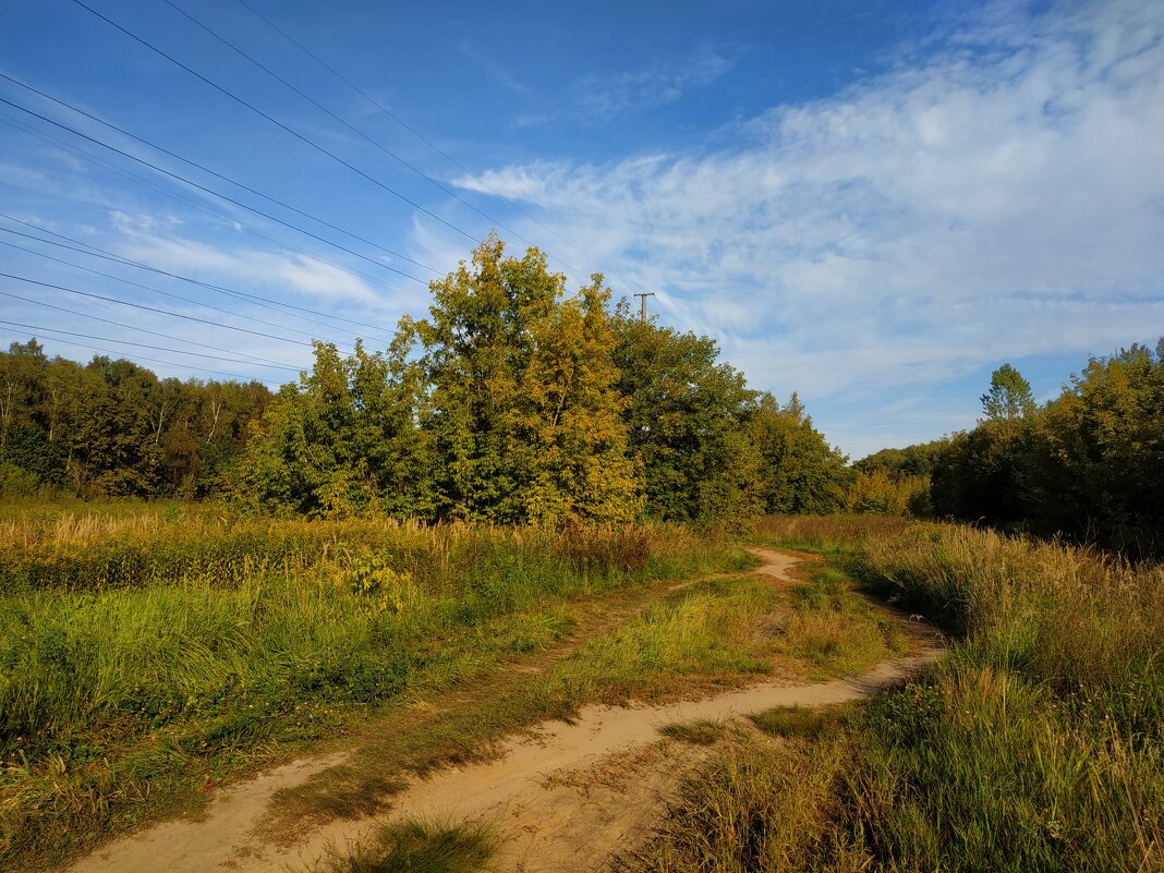 Бабье лето в Лосином острове - Андрей Лукьянов