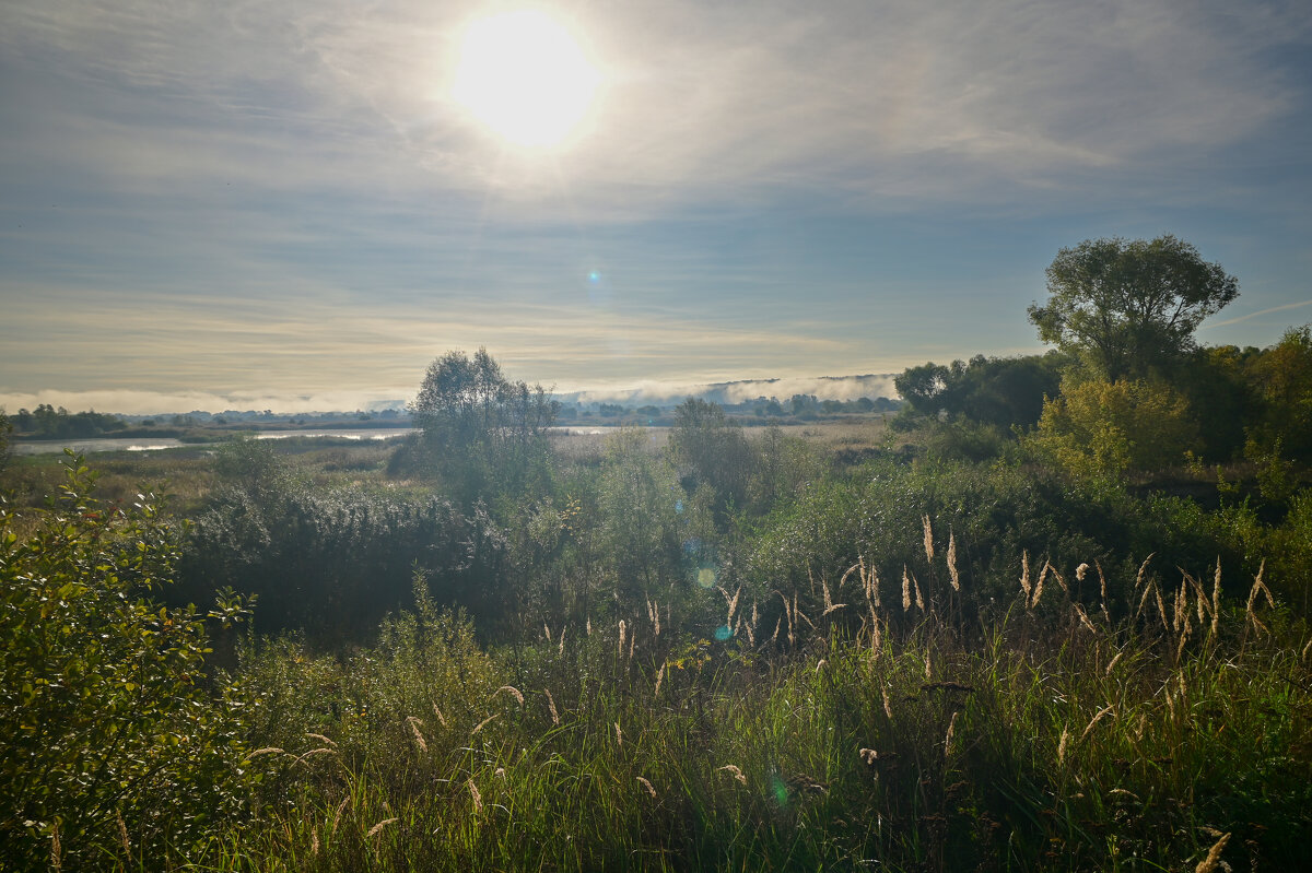 утро - Константин Сафронов