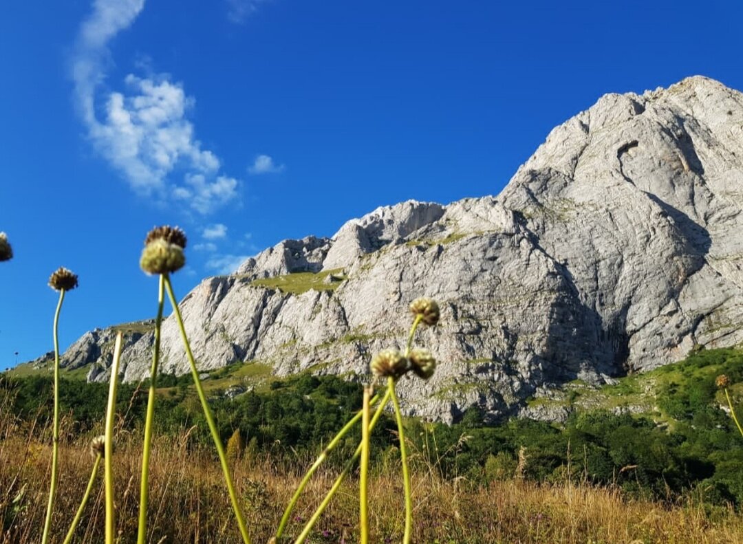 Пшехский водопад - Tata Wolf