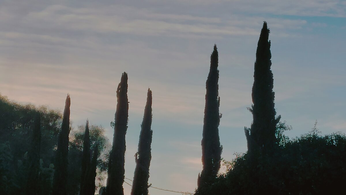 13  ОПЕН (348) - OPEN WAYS ALL