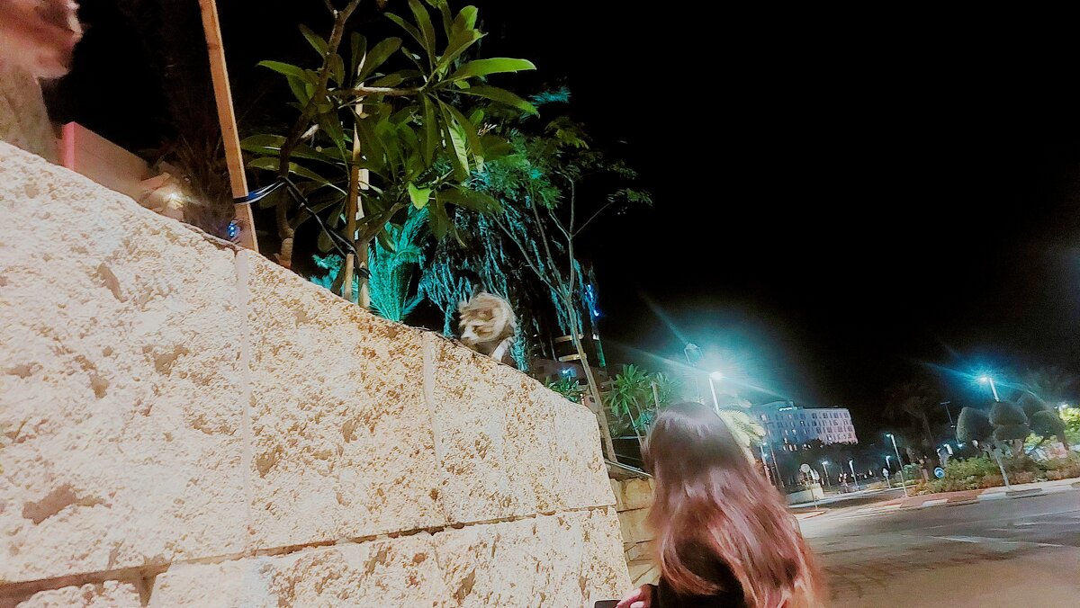 13  ОПЕН (351) - OPEN WAYS ALL