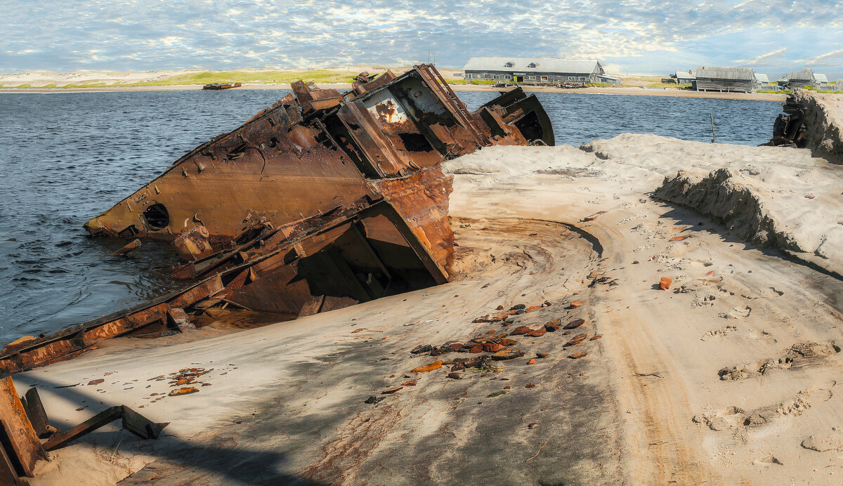 Собачьи следы. - Владимир Владимир