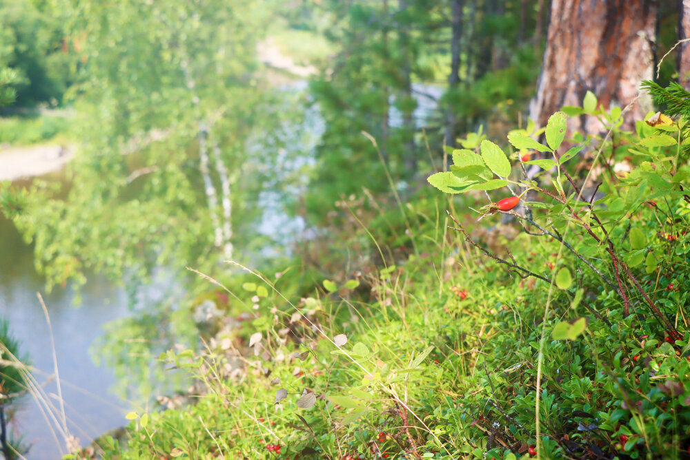 Бережок - Галина Ильясова