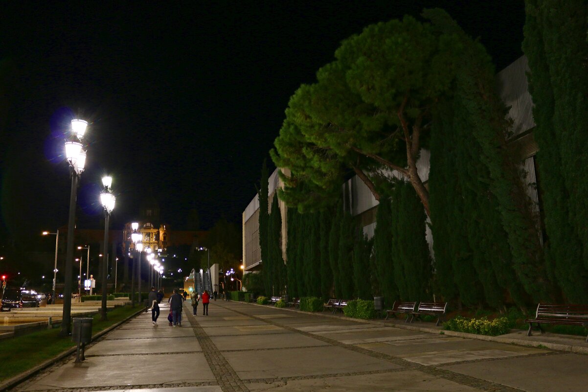 Осенний вечер в Барселоне - Ольга Осенний вечер в Барселоне - Ольга