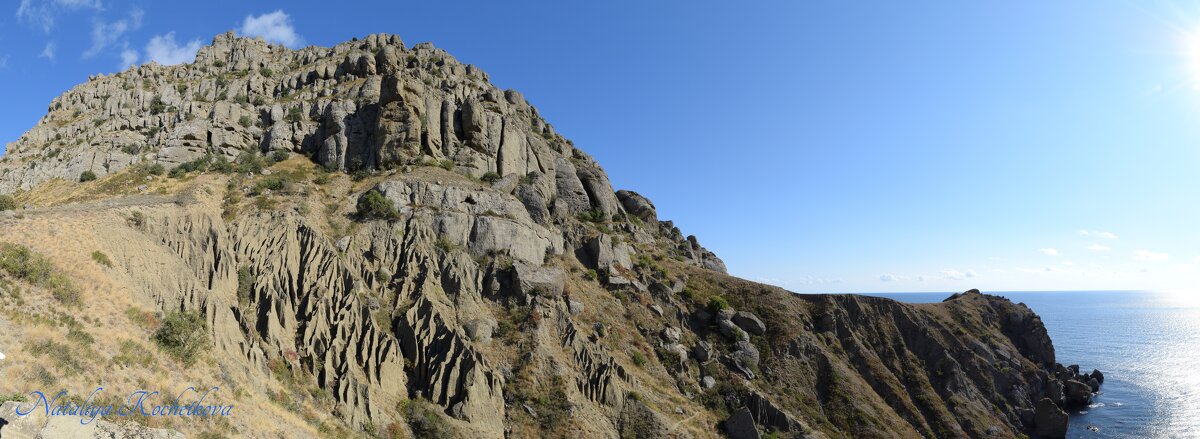 Природа Крыма - Amazing Cosmea Природа Крыма - Amazing Cosmea