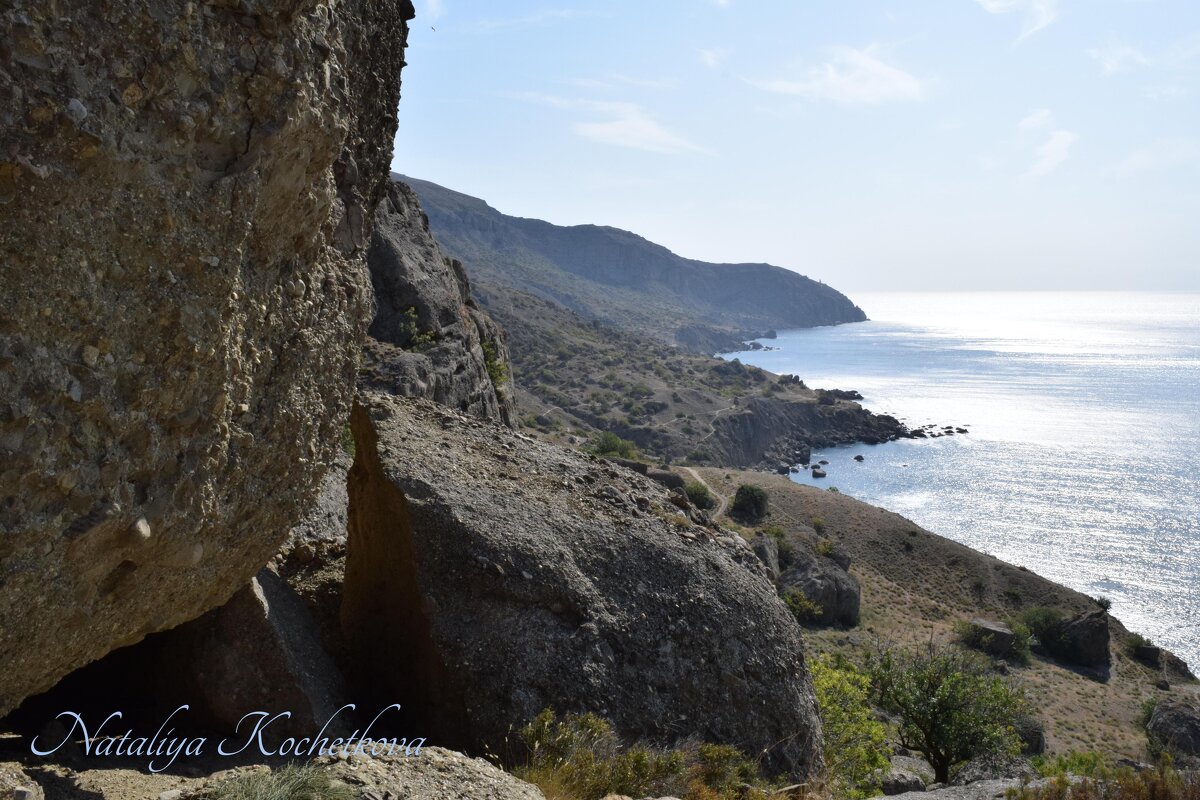 Природа Крыма - Amazing Cosmea