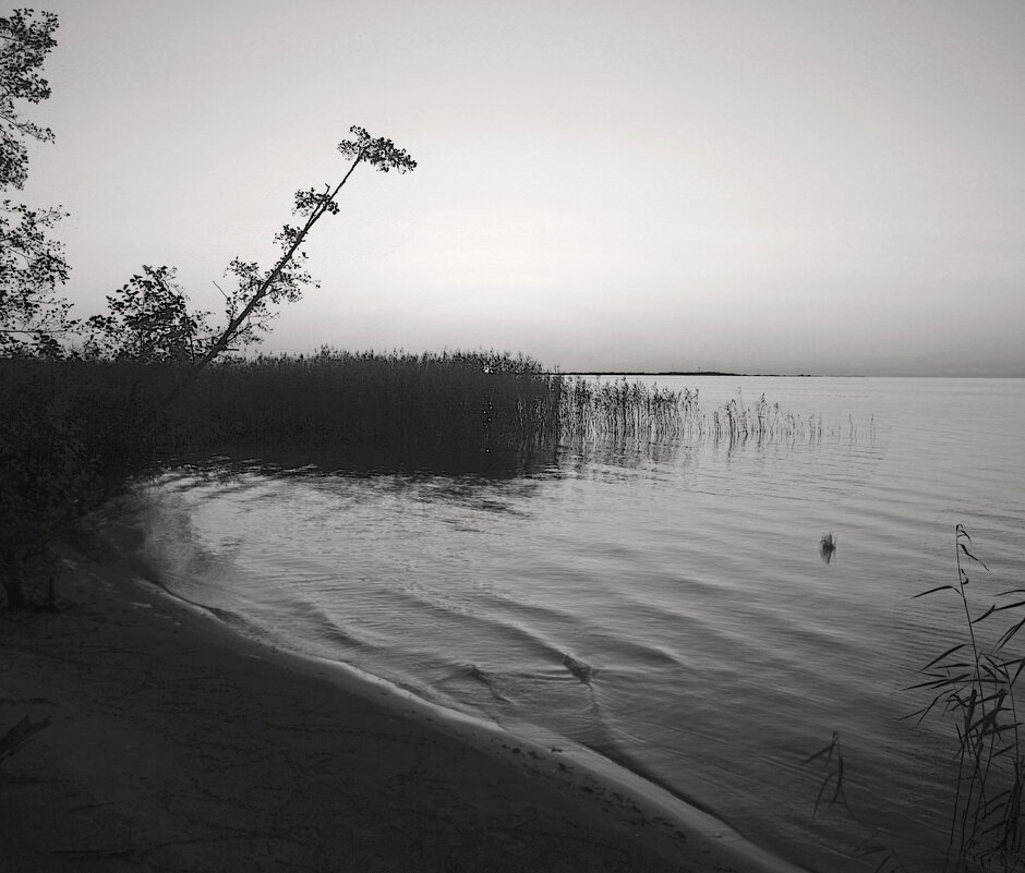 *** - Сергей Григорьев