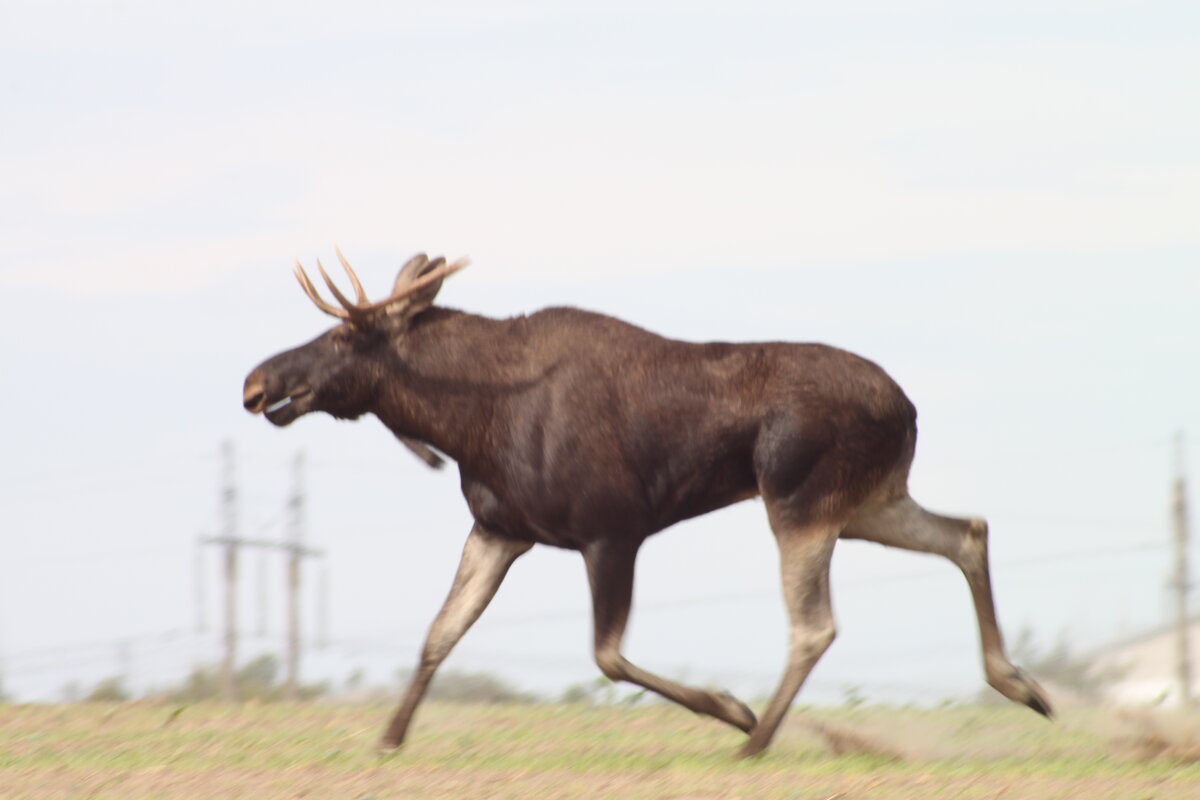 . - Сергей Асташонок . - Сергей Асташонок