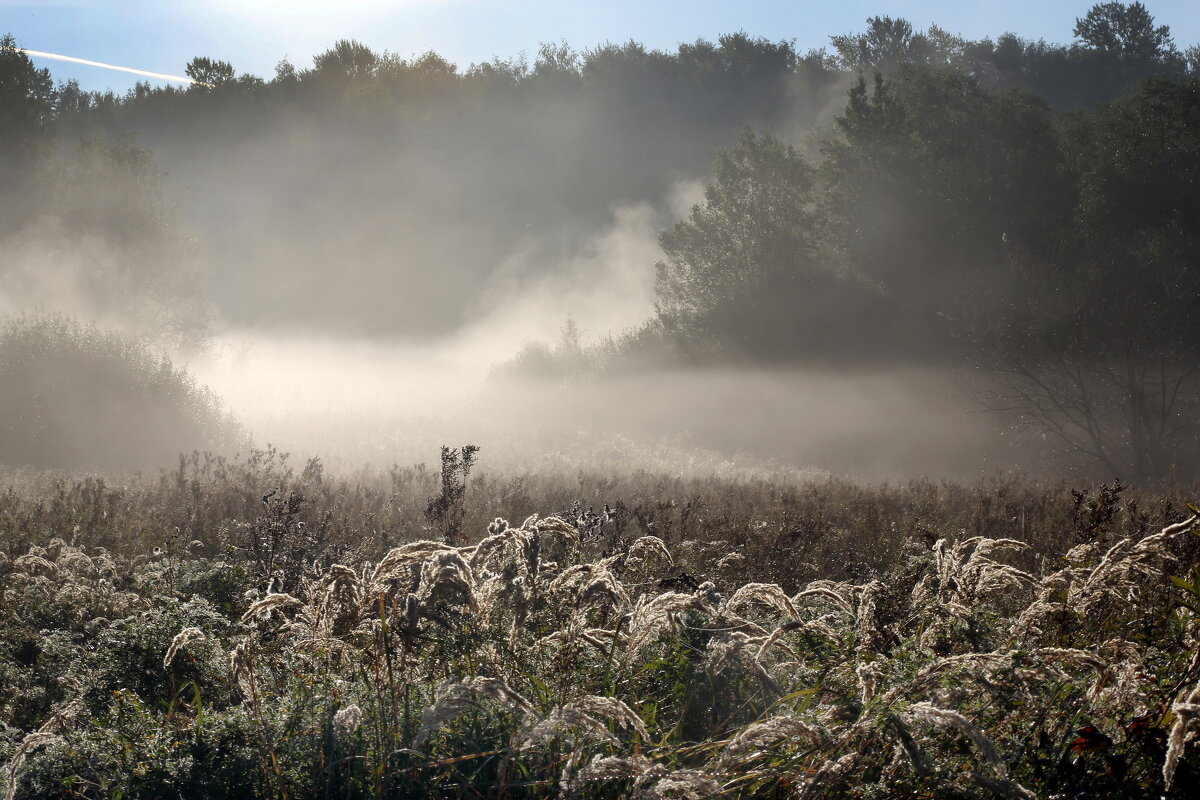 Утро 13 сентября. Царицыно - Михаил Бибичков