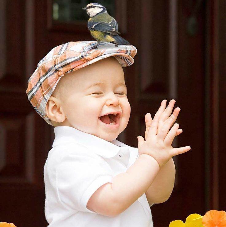 Дитяча радість - Степан Карачко