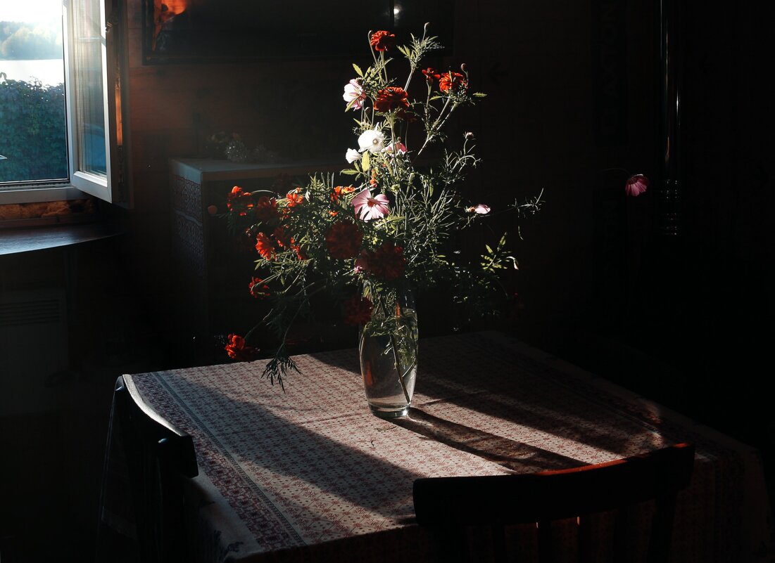 ....... - Марина 