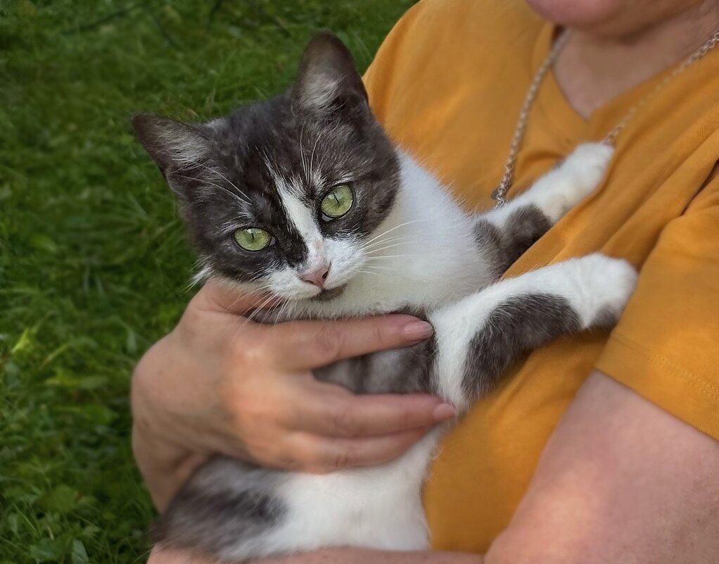 Гостья - Мария - Maria