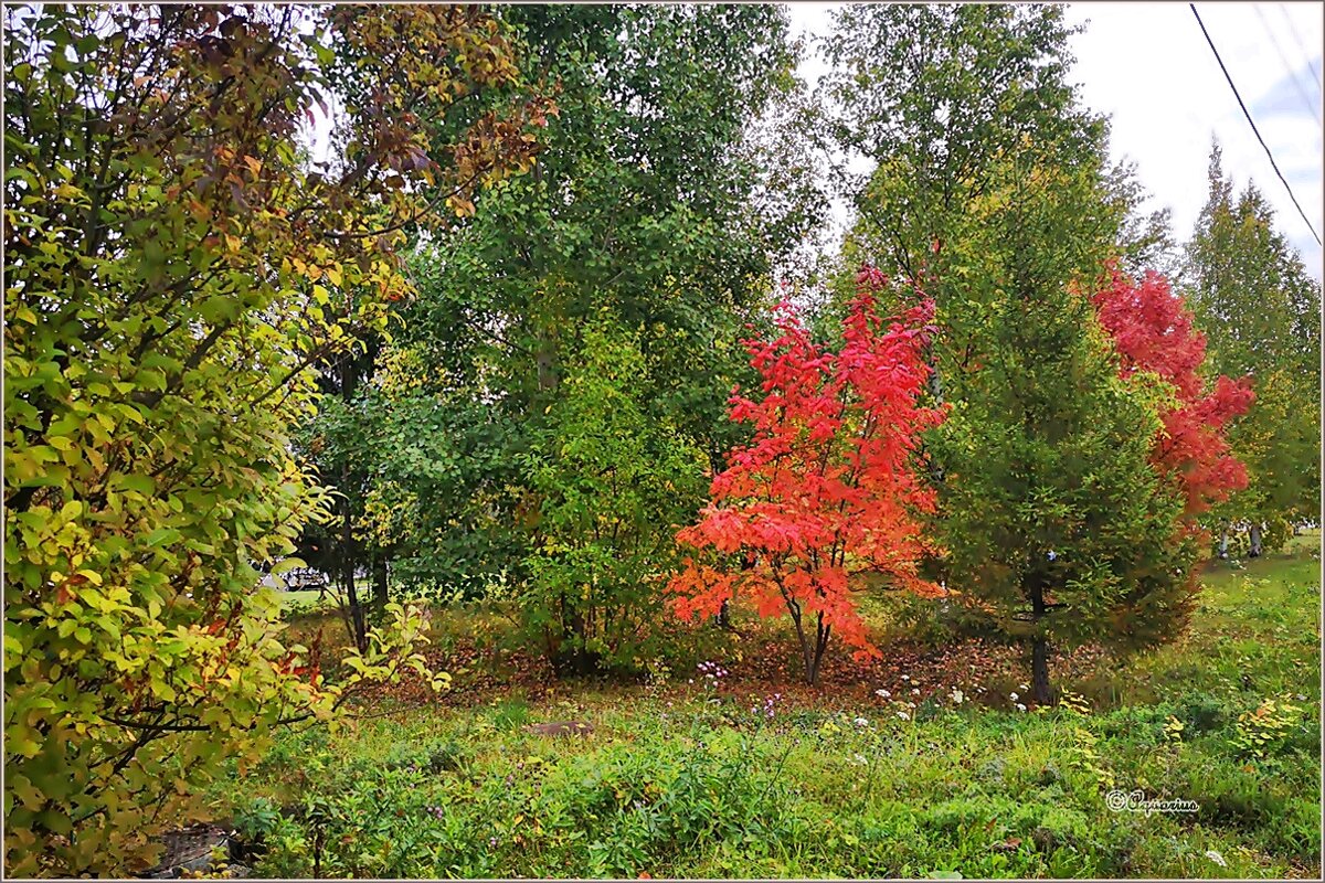 Про осенний день... - Aquarius - Сергей
