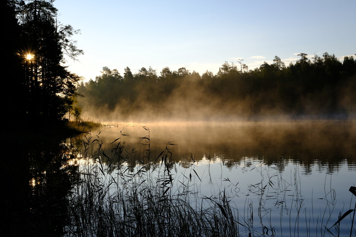 Туман над водой - Андрей Зайцев