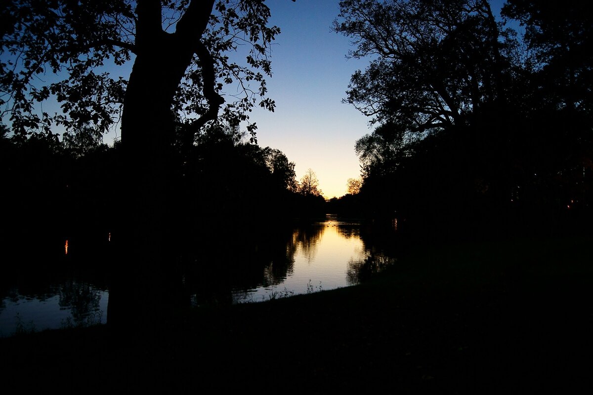 Свет и тьма 8 - Игорь Тельцов