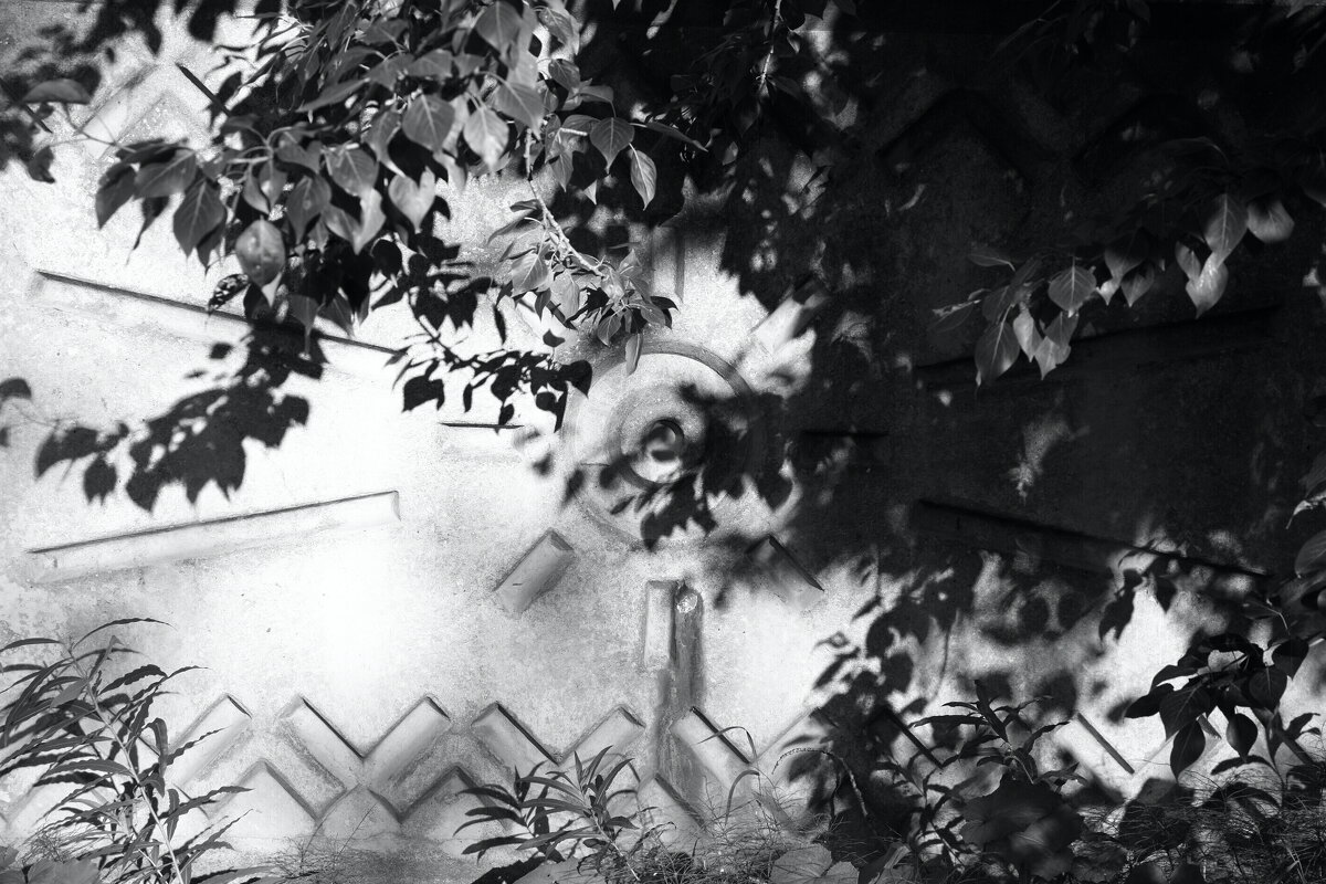 ... - Денис Безногов