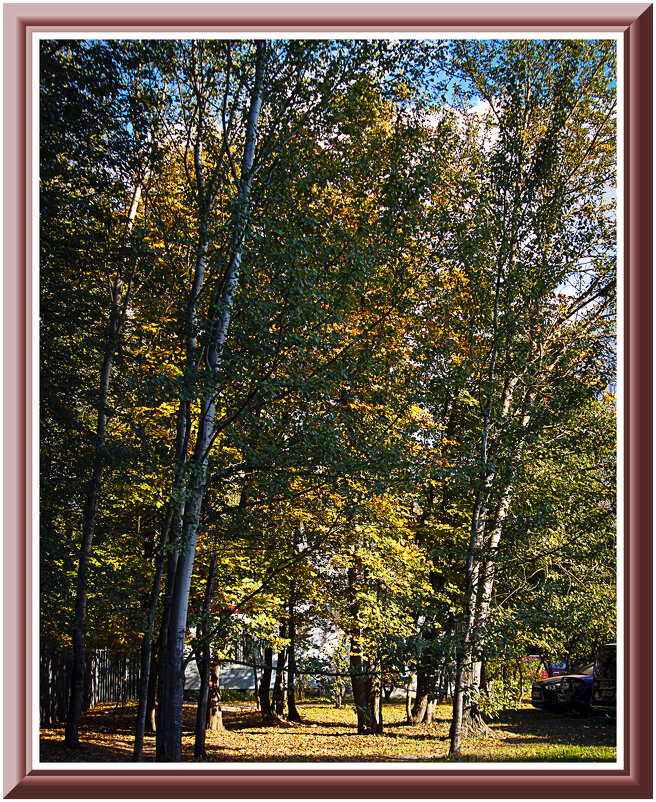 Осенью повеяло - Владимир Кроливец