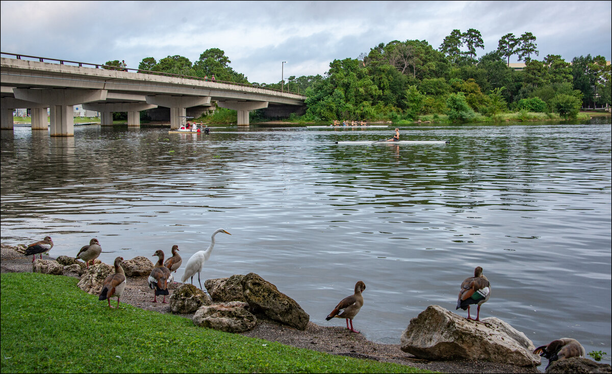 Таланты и поклонники - **** vedin