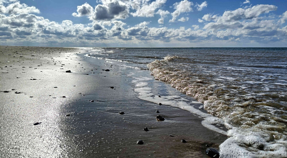 Суровое море севера - Александр Ульныров