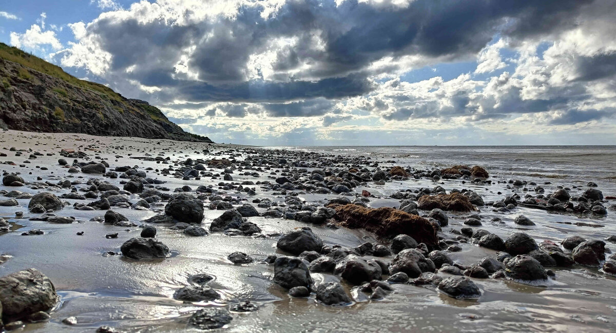 На берегу моря - Александр Ульныров