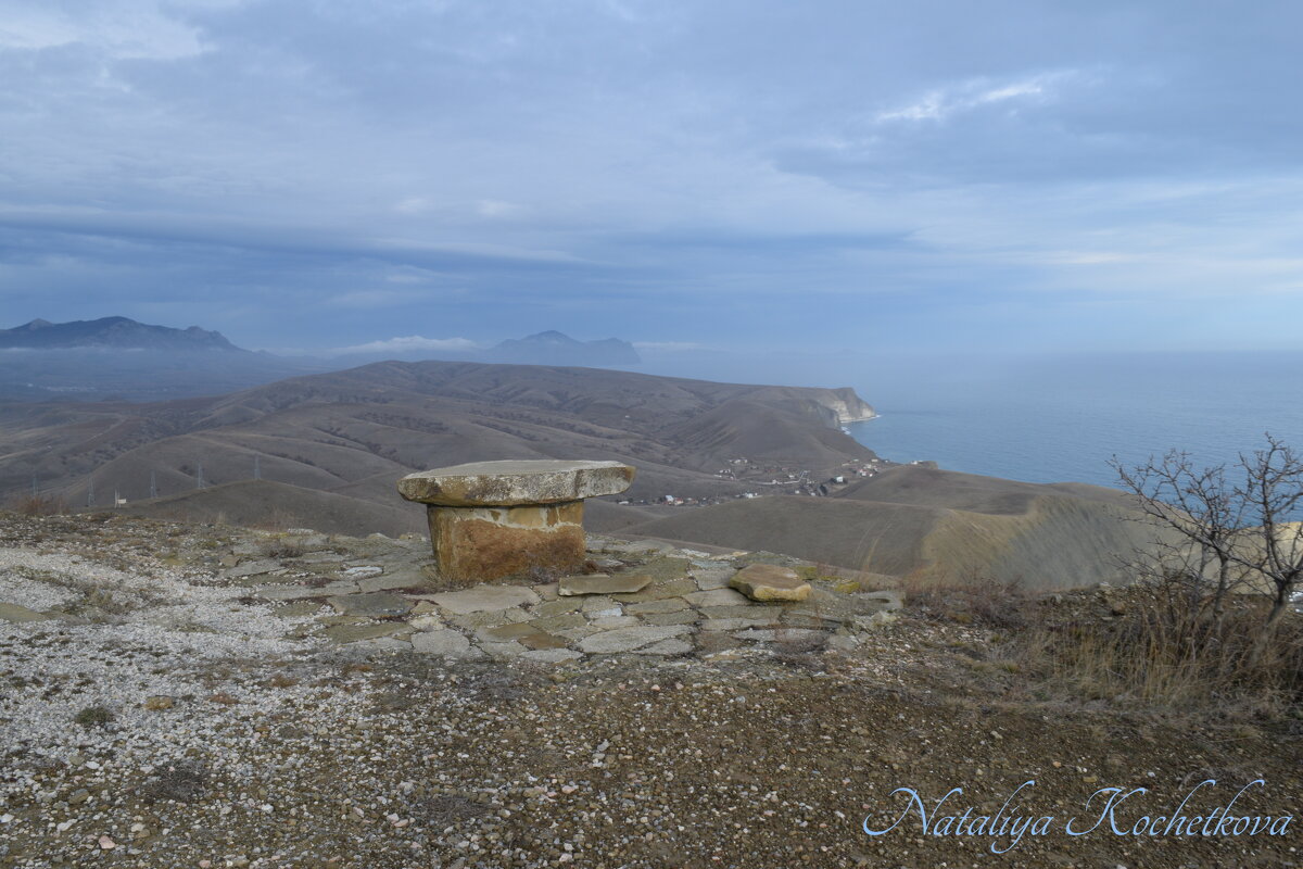 Природа Крыма - Amazing Cosmea