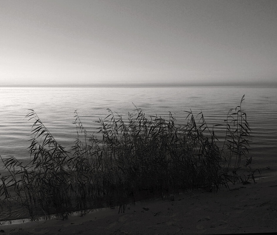 *** - Сергей Григорьев