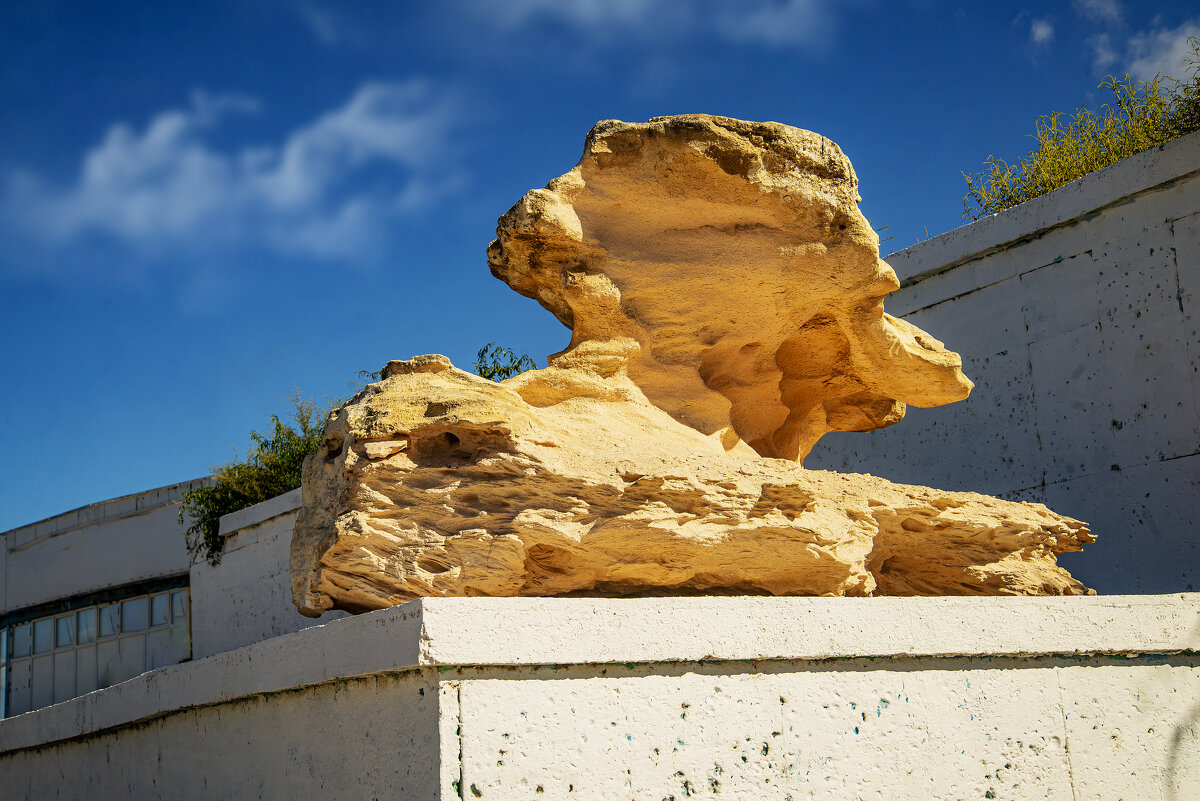 Ракушечник - Анатолий Чикчирный