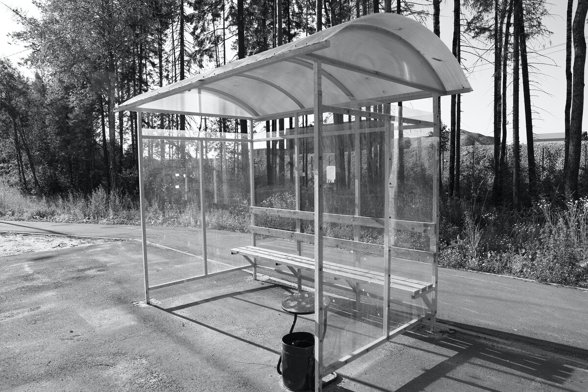 ... - Денис Безногов