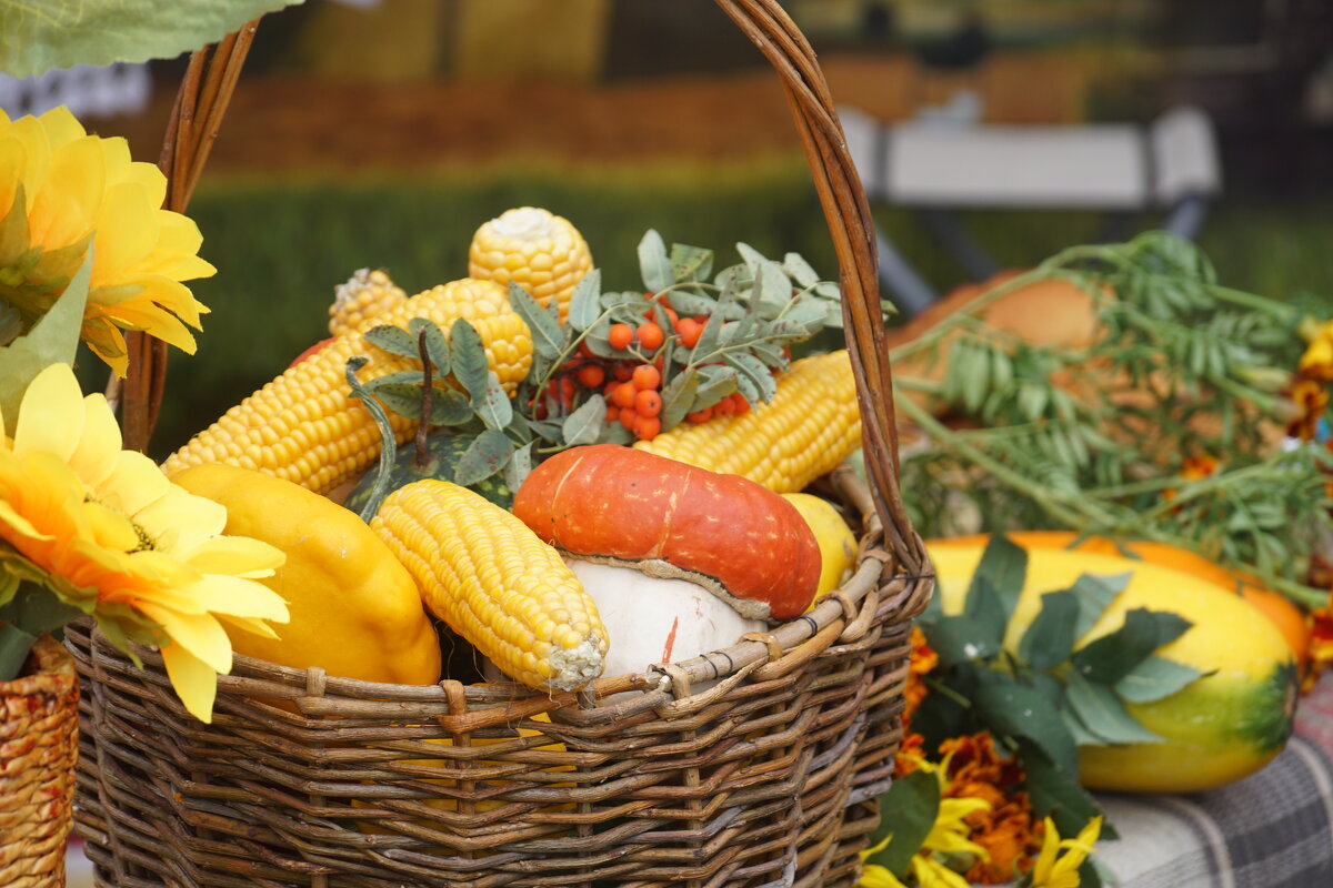 Осень - пора урожая - Lersa 