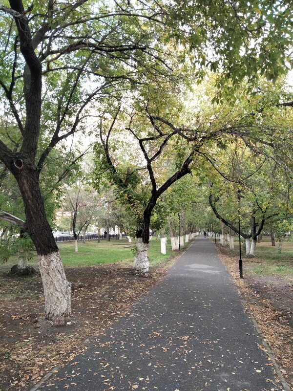 Аллея в парке - Динара Каймиденова