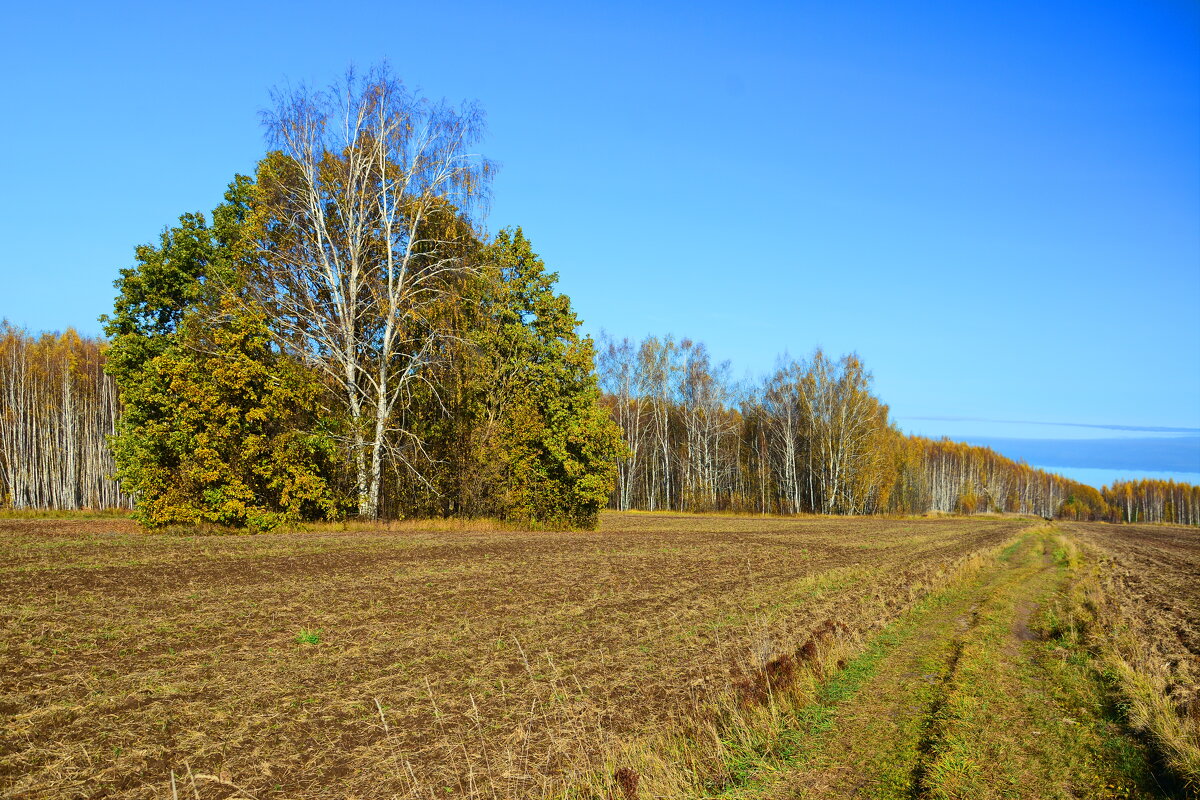 Осень. - Михаил Колосов 