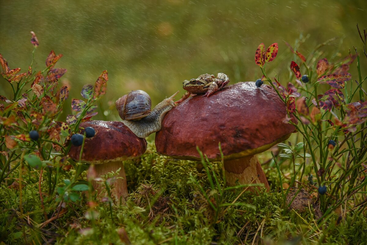 Разговор по душам - Валерия заноска