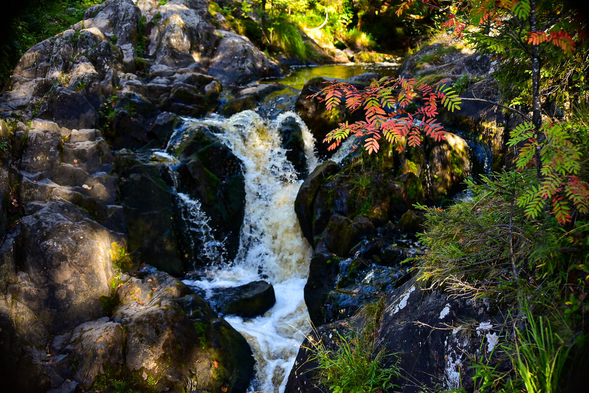 Местность, где снимался фильм "А зори здесь тихие" - Grishkov S.M.