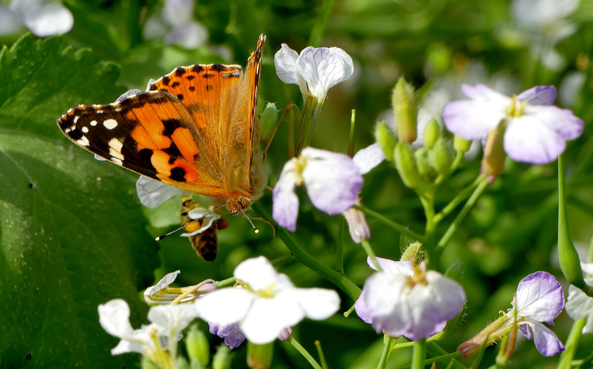 из сегодняшней съёмки 1 - Александр Прокудин