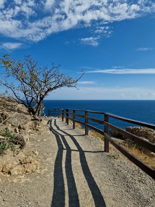 Новый свет - Мария Яковлева