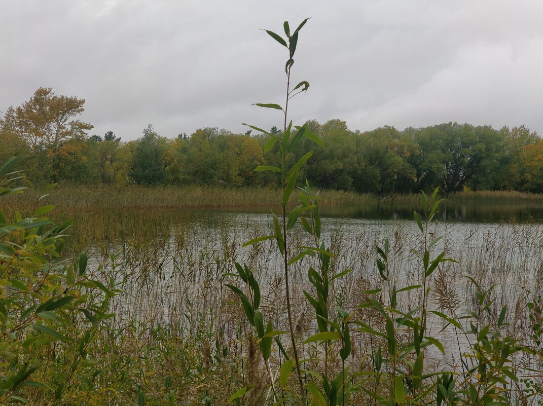 Озеро Надежды... - Андрей Хлопонин