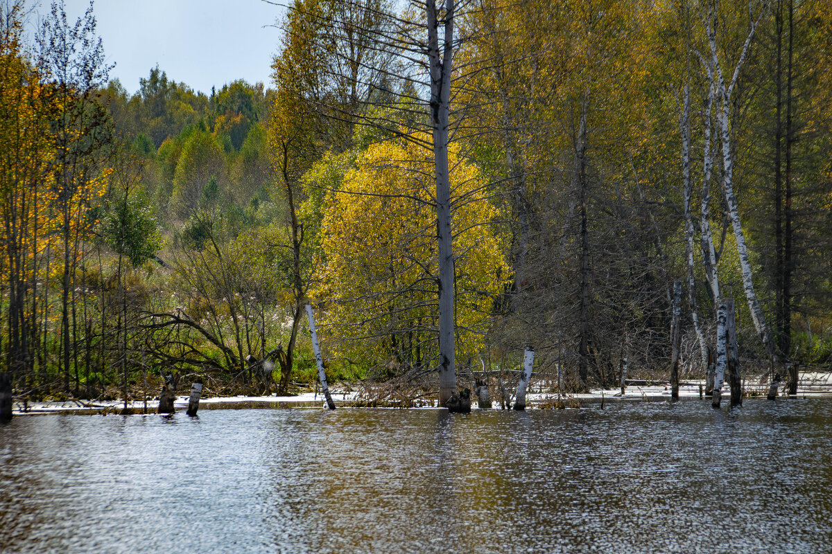 - - Владимир Мигонькин