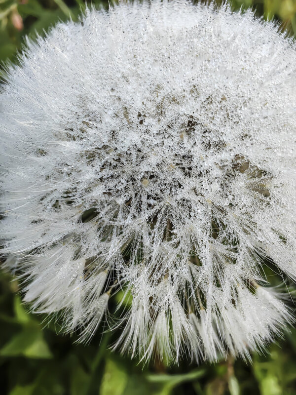 Осень всегда красива - Ольга Прикуль