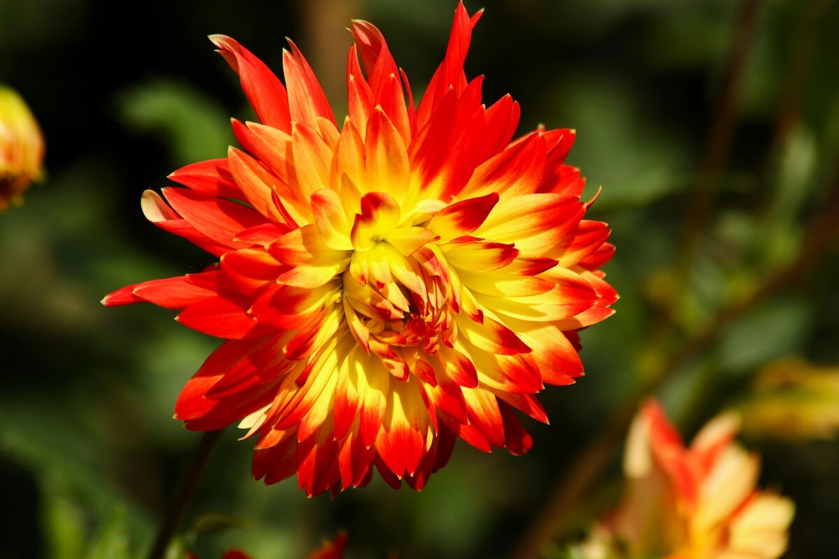 Осеннее солнце - Юрий. Шмаков