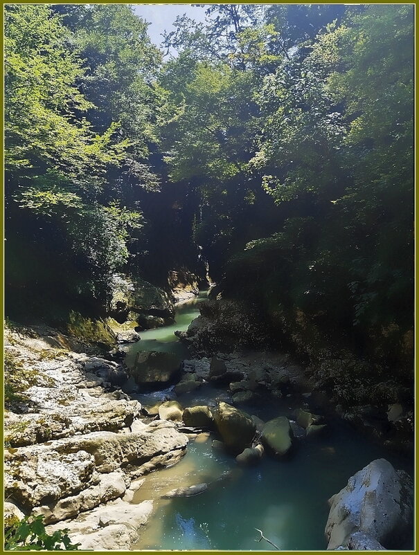 Грузия.  Мартвильский природный парк. - Ольга Довженко