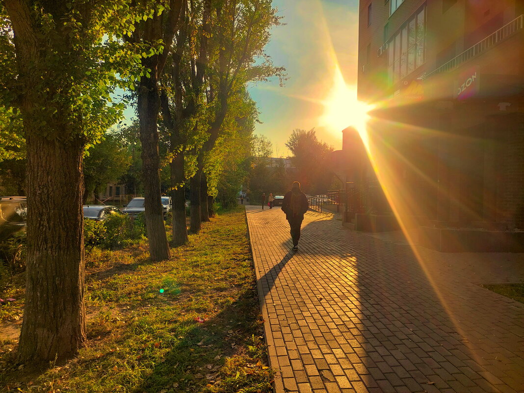 Длинные тени осеннего утра - Артём 