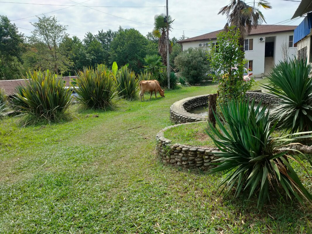 В Новом Афоне - Ирэн 