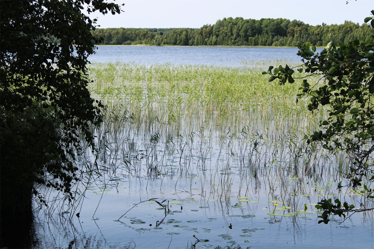 Озера на острове Кижи - Любовь ***