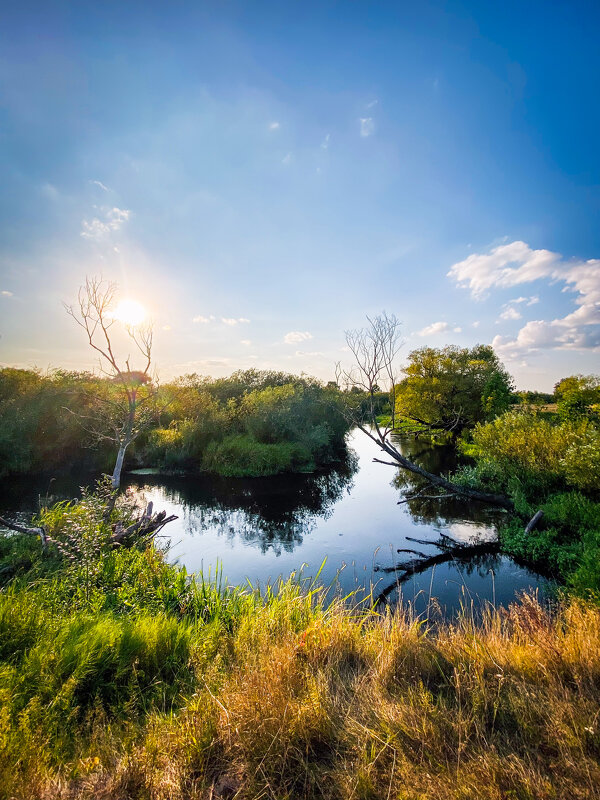 *** - Игорь Чичиль