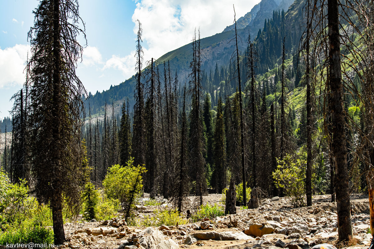 6 - HART BAD 6 - HART BAD