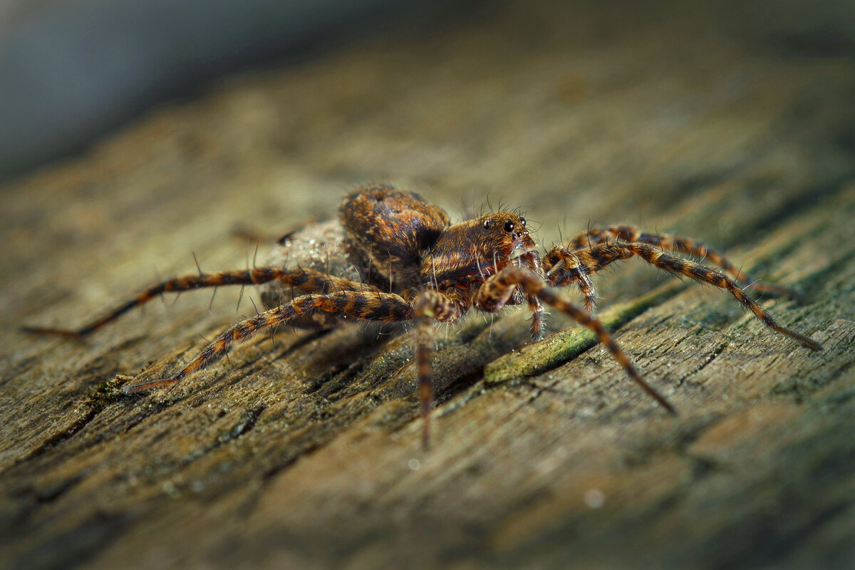 На снастях - Андрей Финогенов